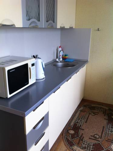 
One-bedroom apartment in Borovlyany
