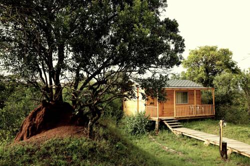 
Jambo Mara Safari Lodge
