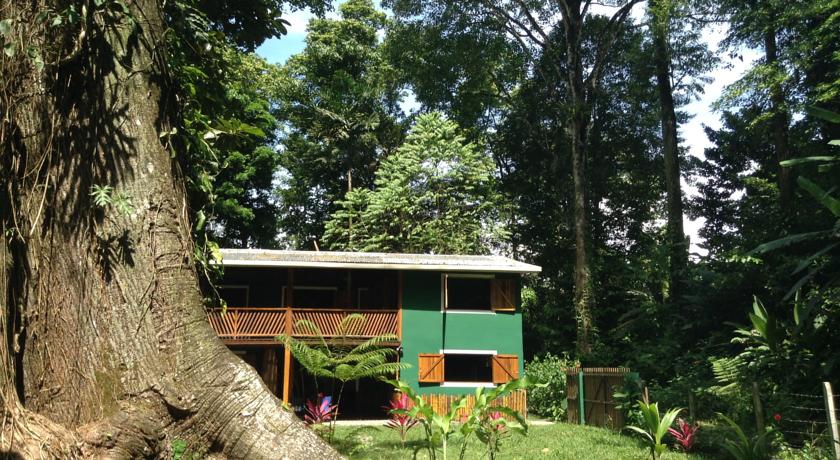 
Jungle Green House
