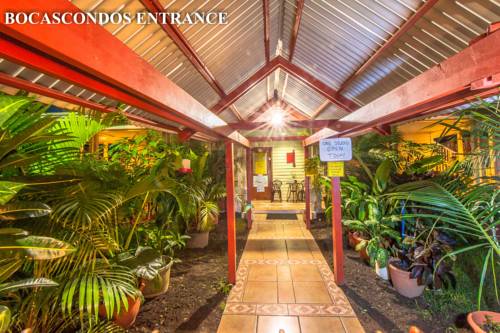 
Bocas Condos Rentals
