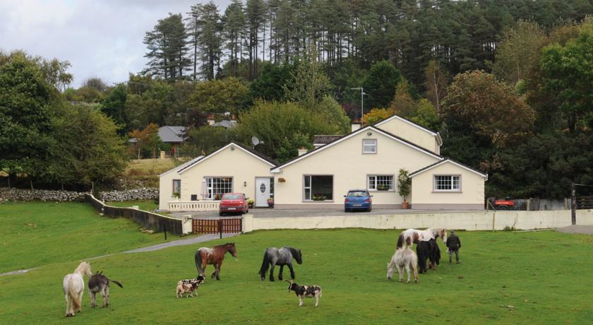 
Muckross Riding Stables
