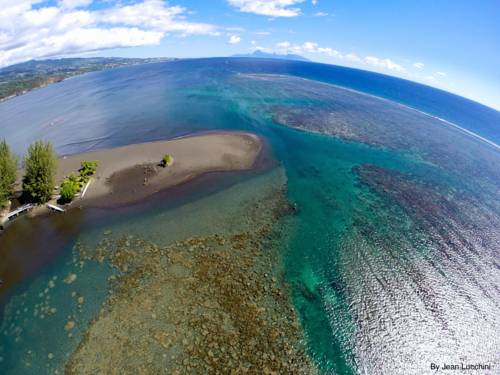 
Guest Beach Bungalow Tahiti
