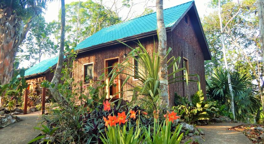 
Mariposa Jungle Lodge
