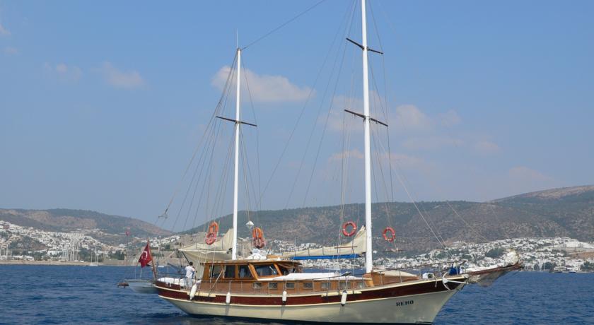 
Boat Onelli
